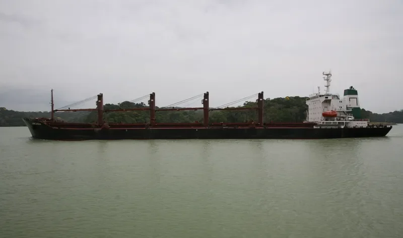 MARIA STAR Bulk Carrier IMO 9080182 photo 3