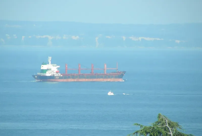 MARIA STAR Bulk Carrier IMO 9080182 photo 4