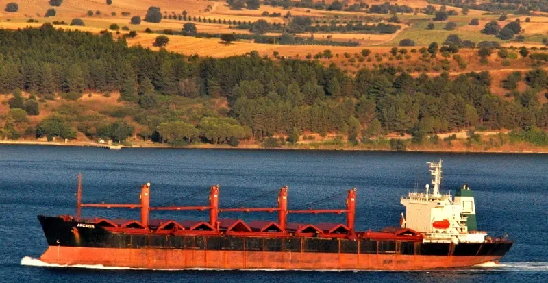 MARIA STAR Bulk Carrier IMO 9080182 photo 5