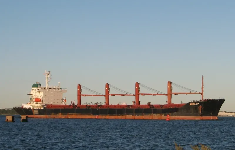 MARIA STAR Bulk Carrier IMO 9080182 photo 6