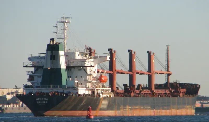 MARIA STAR Bulk Carrier IMO 9080182 photo 7