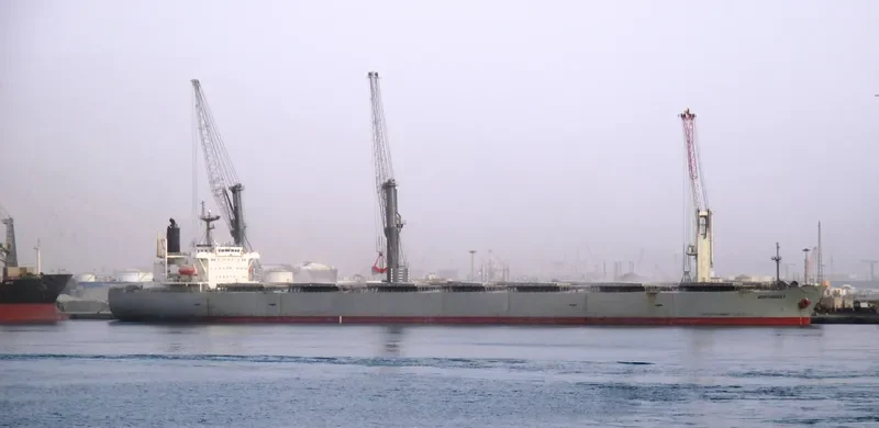 MOSHTARAKA 2 Bulk Carrier IMO 9080273 photo 7