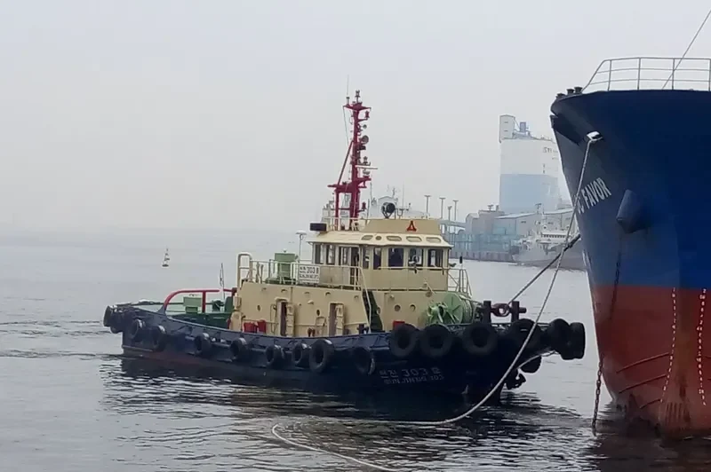 SUN JIN NO.303 General Cargo IMO 9080314 photo 3