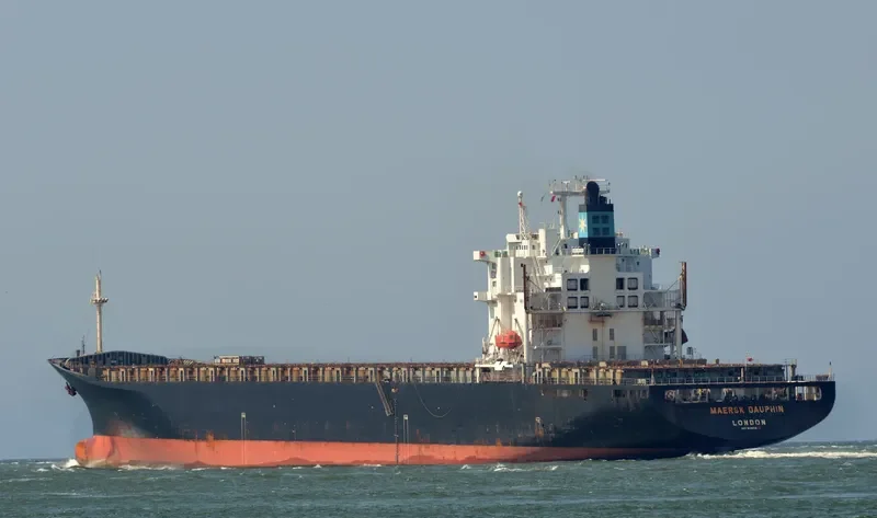 OTSE Container Ship IMO 9080613 photo 3