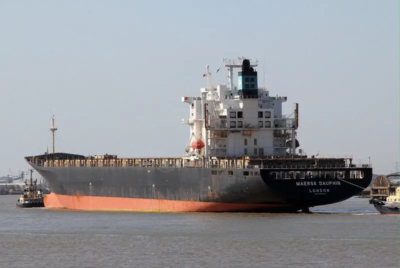 OTSE Container Ship IMO 9080613 photo 10