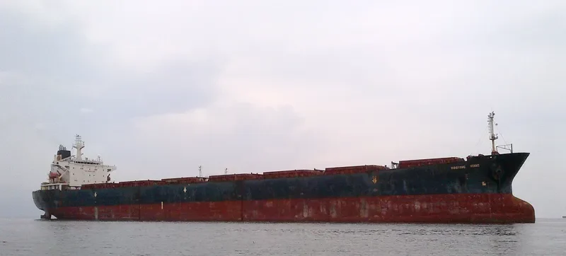 WOO Bulk Carrier IMO 9080649 photo 2