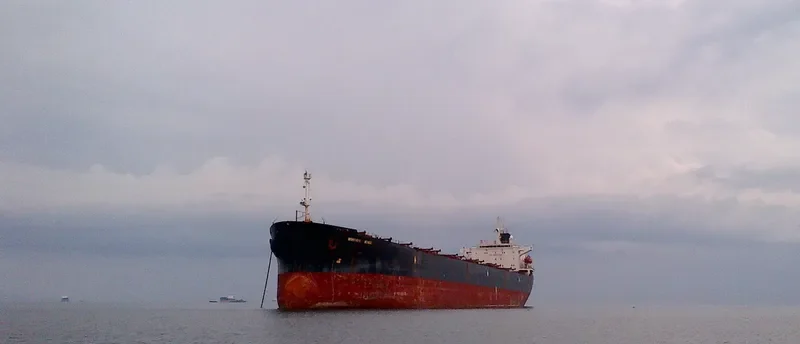 WOO Bulk Carrier IMO 9080649 photo 3