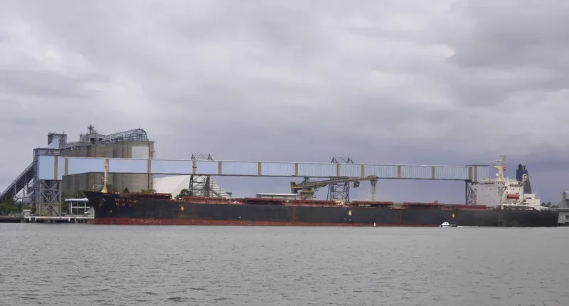 WOO Bulk Carrier IMO 9080649 photo 5
