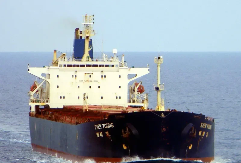 WOO Bulk Carrier IMO 9080649 photo 7