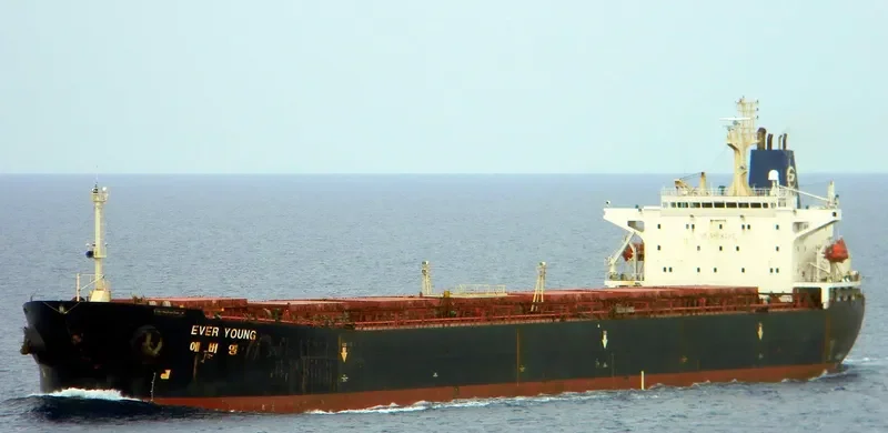 WOO Bulk Carrier IMO 9080649 photo 9