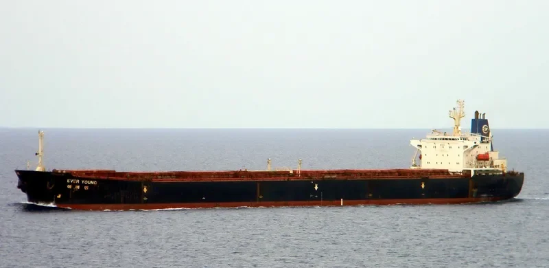 WOO Bulk Carrier IMO 9080649 photo 10