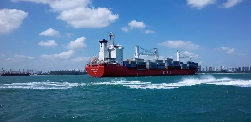 PADDY Container Ship IMO 9081007