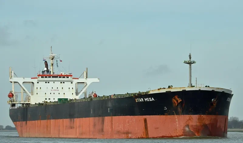 STAR MEGA Bulk Carrier IMO 9081033 photo 6