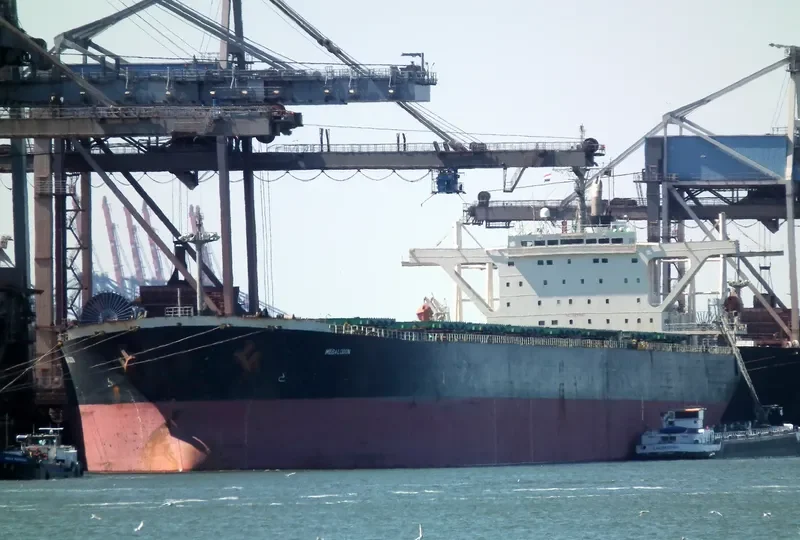 STAR MEGA Bulk Carrier IMO 9081033 photo 8