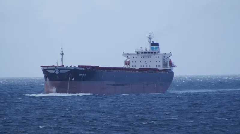 SUERTE Bulk Carrier IMO 9081100 photo 4