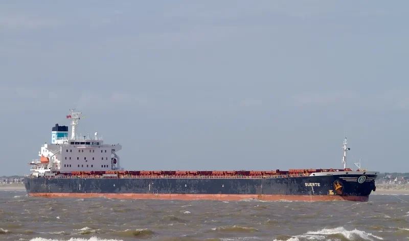SUERTE Bulk Carrier IMO 9081100 photo 9