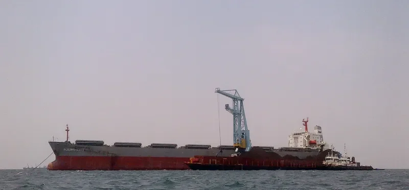 FLOURISHEVER Bulk Carrier IMO 9081112 photo 4