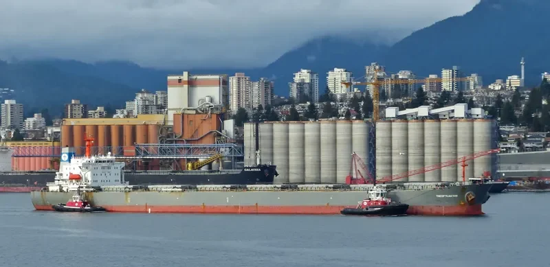 FLOURISHEVER Bulk Carrier IMO 9081112 photo 5