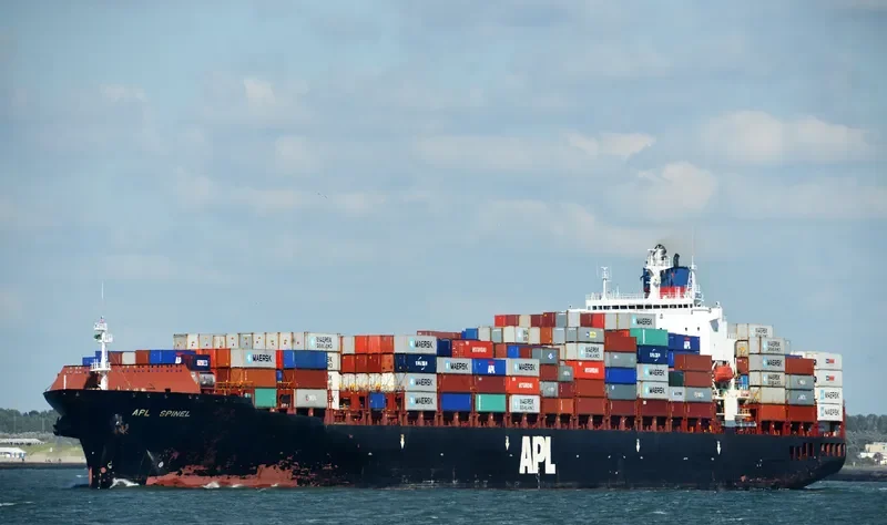 SPINEL Container Ship IMO 9081215