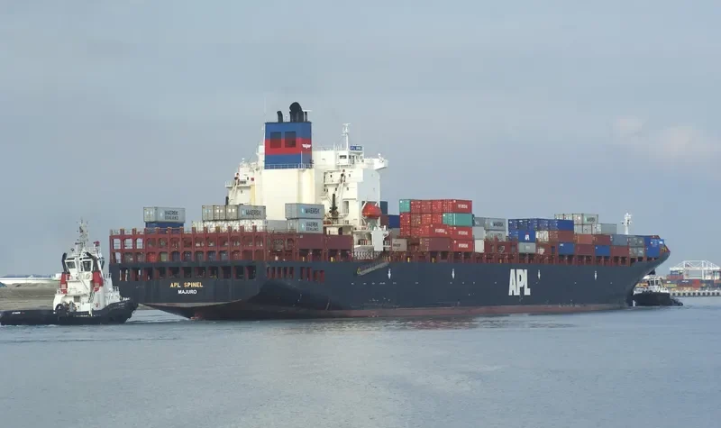 SPINEL Container Ship IMO 9081215 photo 7
