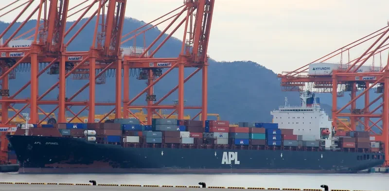 SPINEL Container Ship IMO 9081215 photo 9