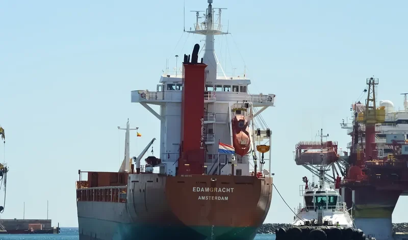 MIKHAIL BRITNEV General Cargo IMO 9081370 photo 5