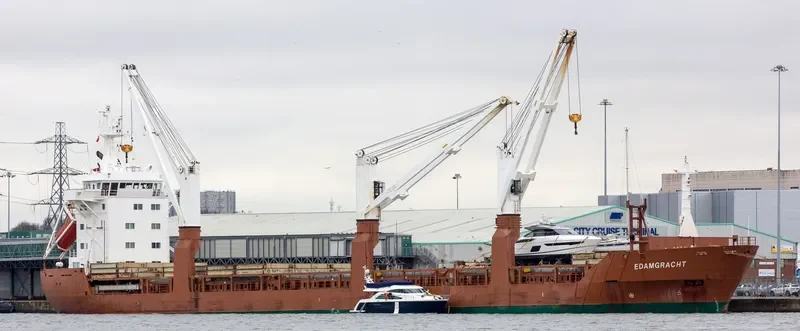 MIKHAIL BRITNEV General Cargo IMO 9081370 photo 8