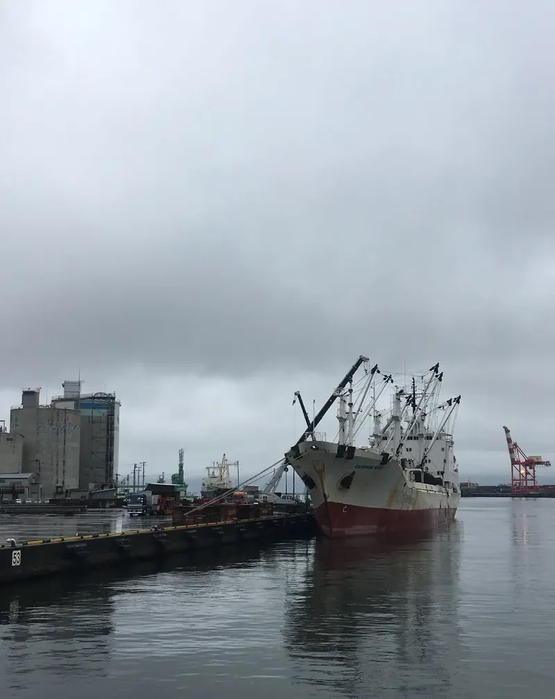 SARONIC BREEZE General Cargo IMO 9081643
