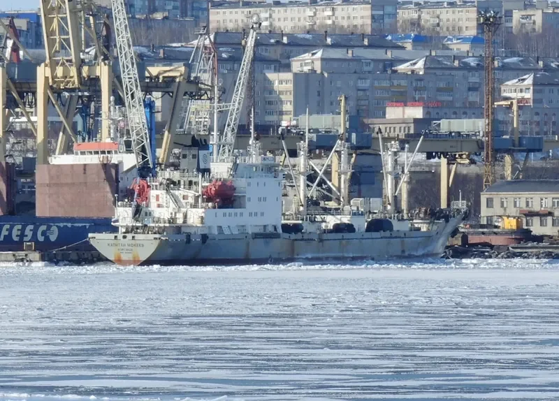 CAPTAIN MOKEEV General Cargo IMO 9081667 photo 2
