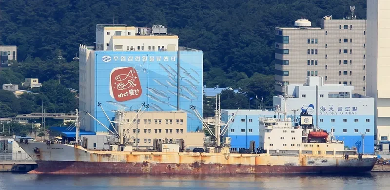CAPTAIN MOKEEV General Cargo IMO 9081667 photo 5