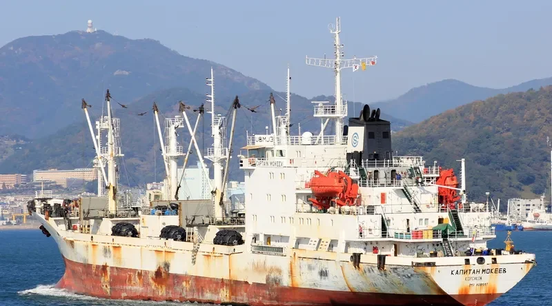 CAPTAIN MOKEEV General Cargo IMO 9081667 photo 6