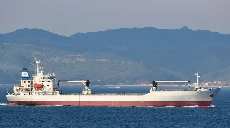 FRIO HELLENIC General Cargo IMO 9081679 photo 3
