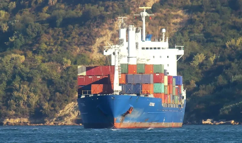 EVA Container Ship IMO 9081734 photo 7
