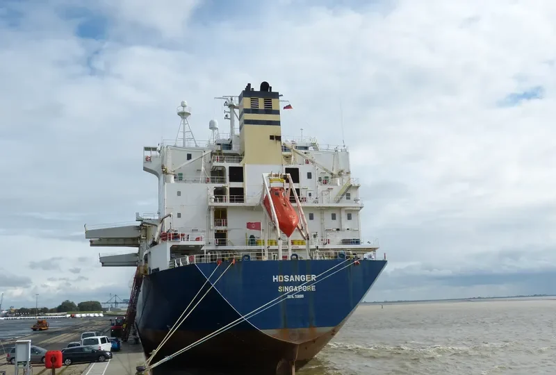 HOSANGER Container Ship IMO 9081801 photo 7