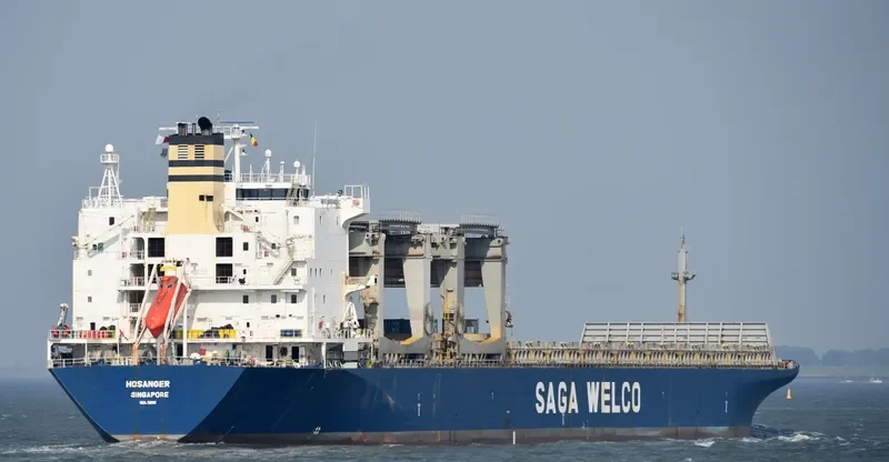 HOSANGER Container Ship IMO 9081801 photo 9