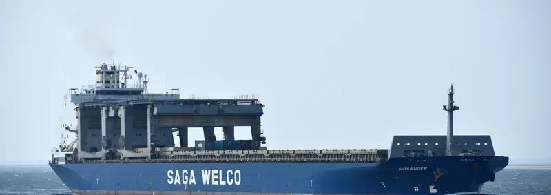 HOSANGER Container Ship IMO 9081801 photo 10
