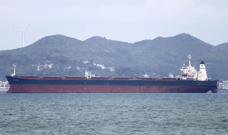 LOTUS SUN Bulk Carrier IMO 9081849 photo 3