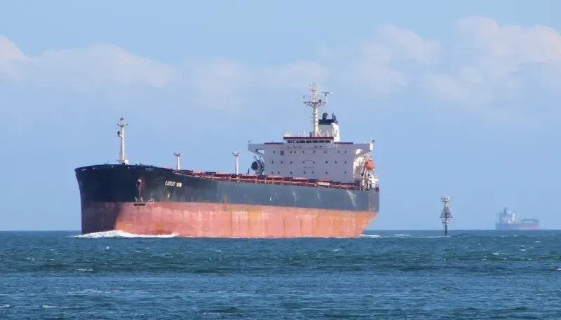 LOTUS SUN Bulk Carrier IMO 9081849 photo 5