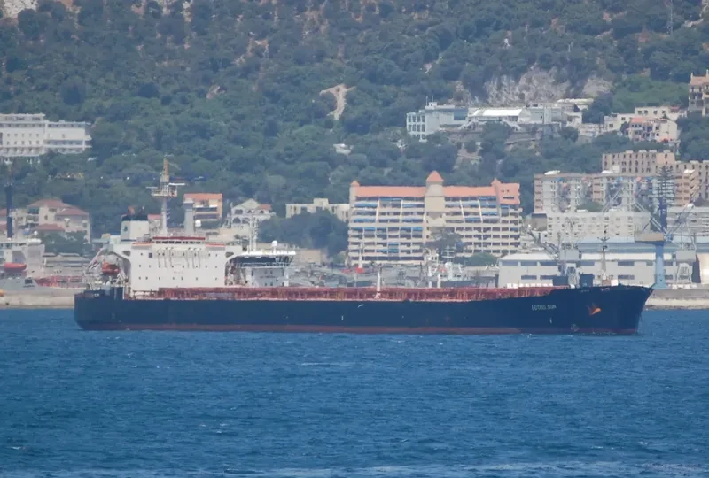LOTUS SUN Bulk Carrier IMO 9081849 photo 6