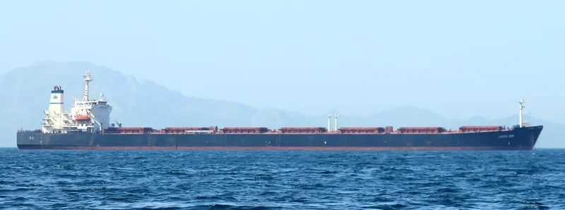 LOTUS SUN Bulk Carrier IMO 9081849 photo 8