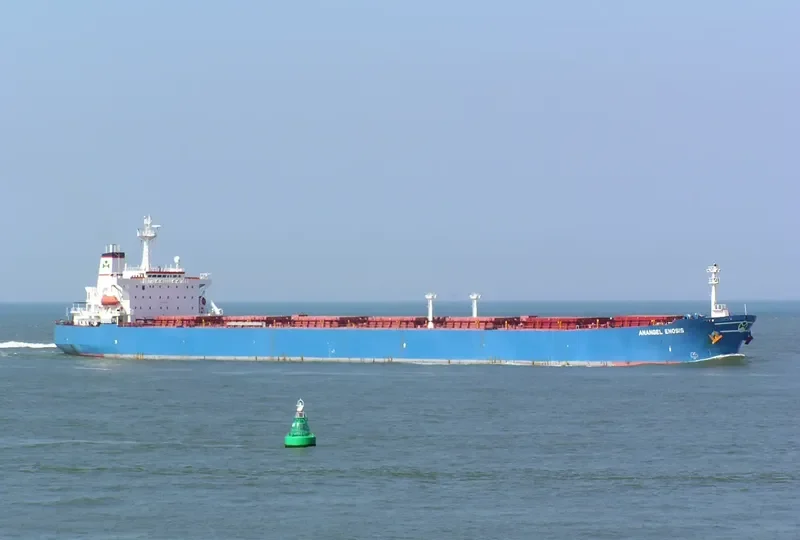 LOTUS SUN Bulk Carrier IMO 9081849 photo 9