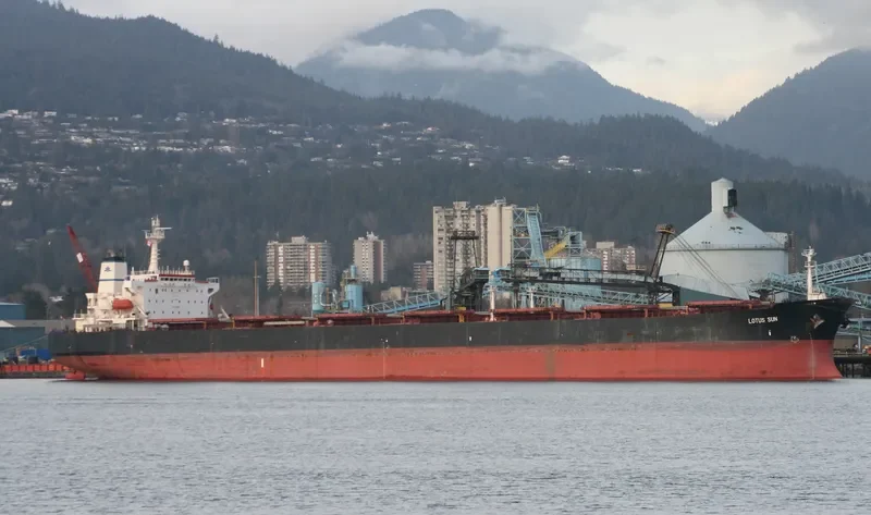 LOTUS SUN Bulk Carrier IMO 9081849 photo 10
