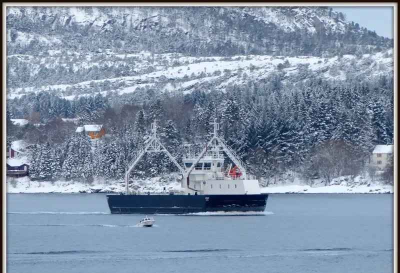 ORNES Ro-Ro IMO 9081942 photo 2