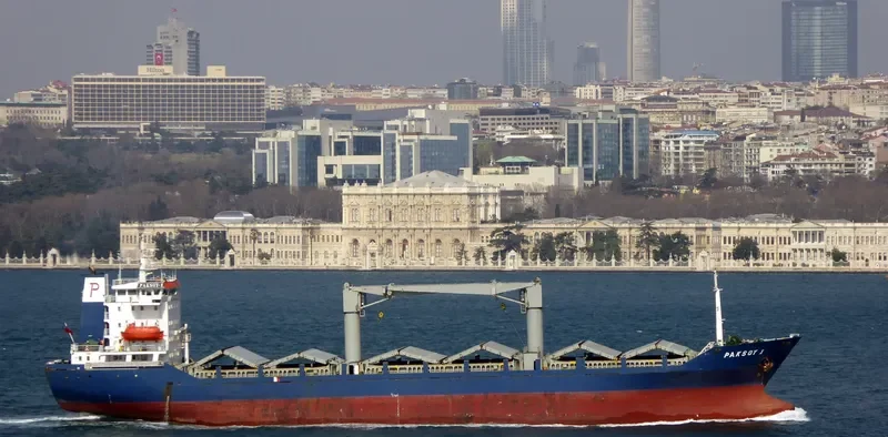 PAKSOY 1 Container Ship IMO 9081992 photo 7