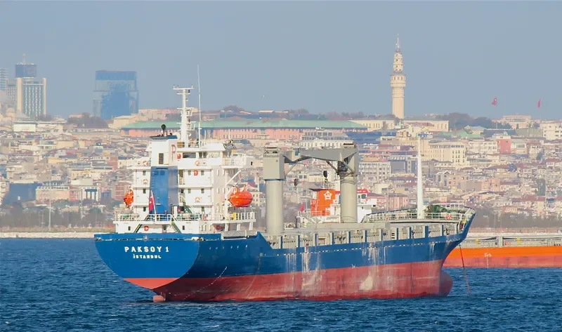 PAKSOY 1 Container Ship IMO 9081992 photo 8