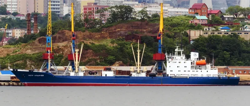 PYOTR ILICHYOV General Cargo IMO 9082178 photo 3
