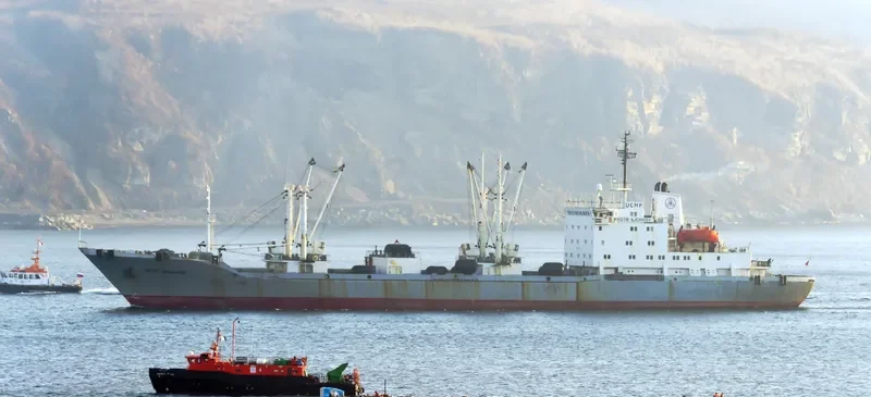 PYOTR ILICHYOV General Cargo IMO 9082178 photo 4
