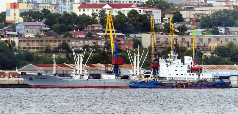 PYOTR ILICHYOV General Cargo IMO 9082178 photo 6