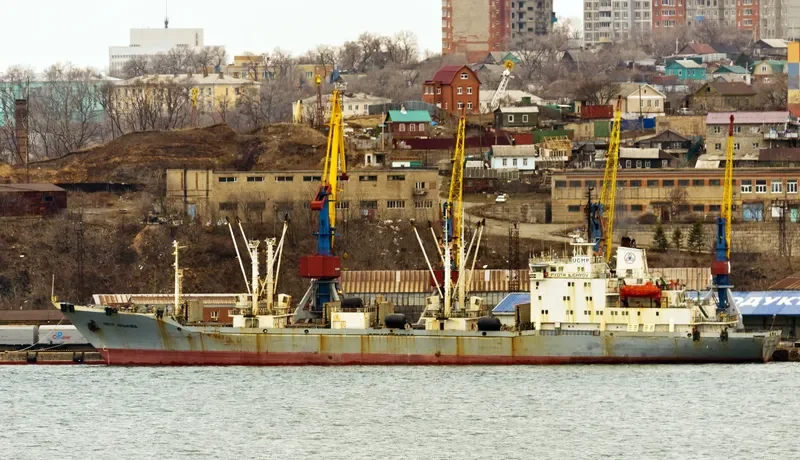 PYOTR ILICHYOV General Cargo IMO 9082178 photo 7