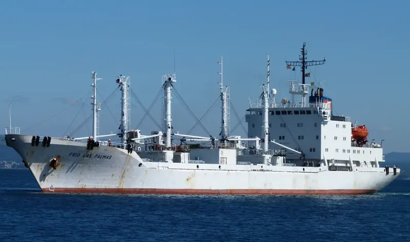 PYOTR ILICHYOV General Cargo IMO 9082178 photo 9